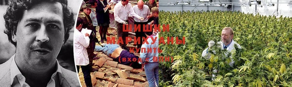 MDMA Premium VHQ Вяземский