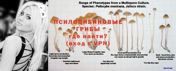 ALPHA-PVP Вязники