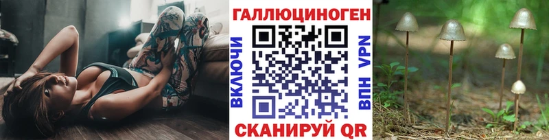 Галлюциногенные грибы Cubensis Купить где Нелидово